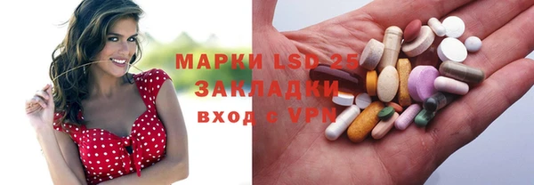 мяу мяу мука Аркадак