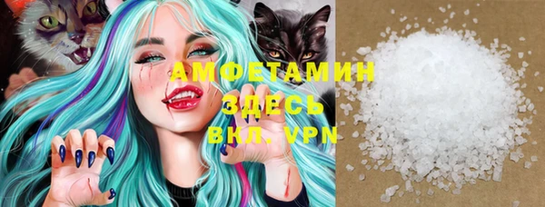 ПСИЛОЦИБИНОВЫЕ ГРИБЫ Арсеньев