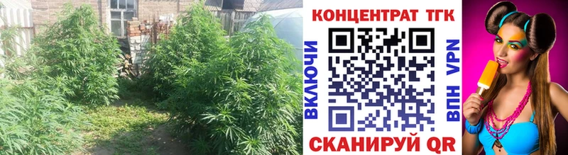 Дистиллят ТГК жижа Сасово